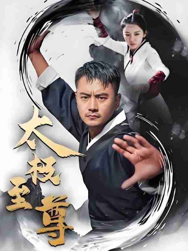 短剧《太极至尊》免费在线观看