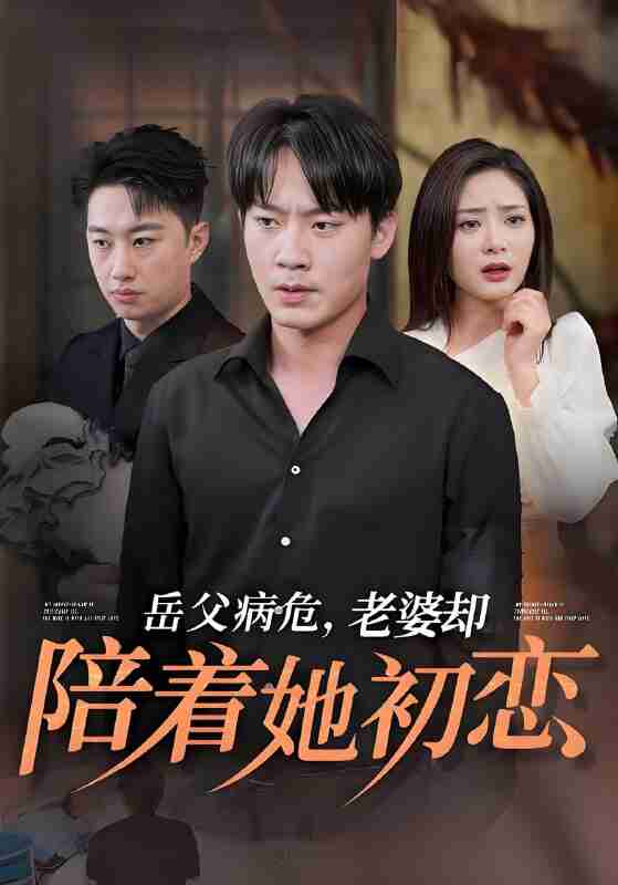 短剧《岳父病危老婆却陪着她初恋》免费在线观看