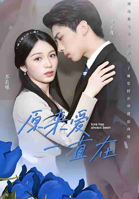 短剧《原来爱一直在》免费在线观看