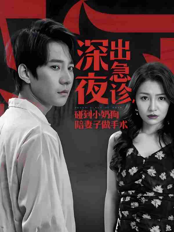 短剧《深夜出急诊碰到小奶狗陪妻子做手术》免费在线观看