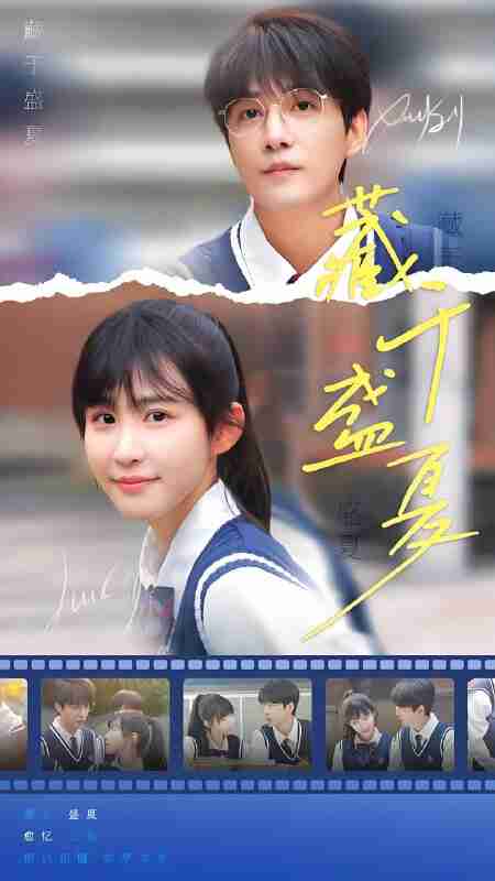 短剧《藏于盛夏》免费在线观看