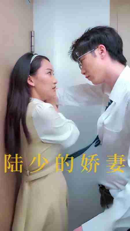短剧《陆少的娇妻》免费在线观看