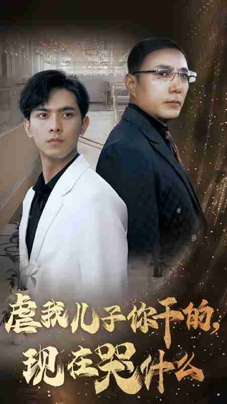 短剧《虐我儿子你干的现在哭什么》免费在线观看