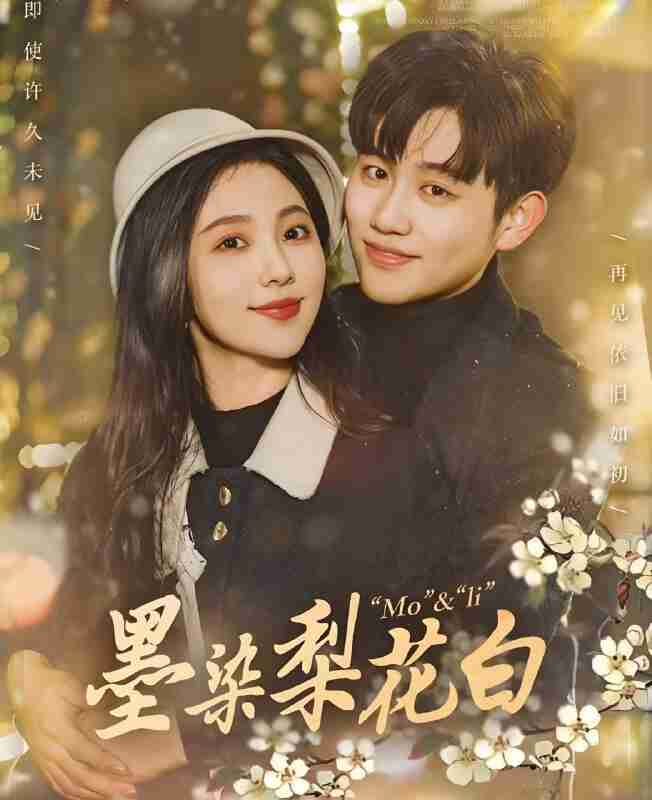 短剧《墨染梨花白》免费在线观看