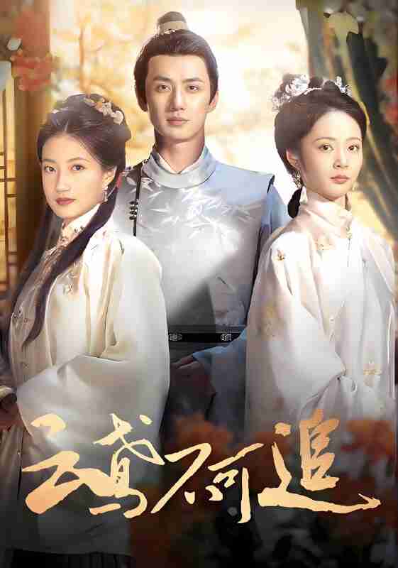 短剧《云鸢不可追》免费在线观看