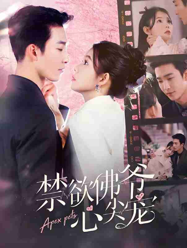 短剧《禁欲佛爷心尖宠》免费在线观看