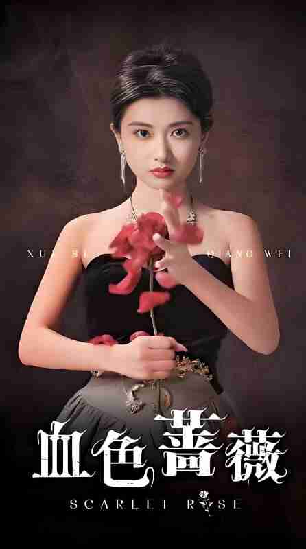 短剧《血色蔷薇》免费在线观看