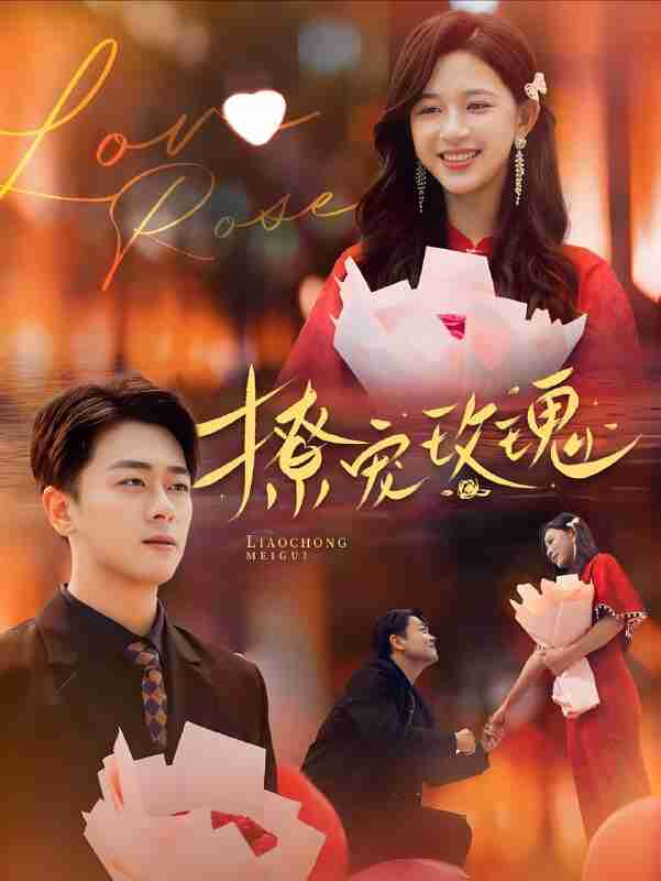 短剧《撩宠玫瑰》免费在线观看