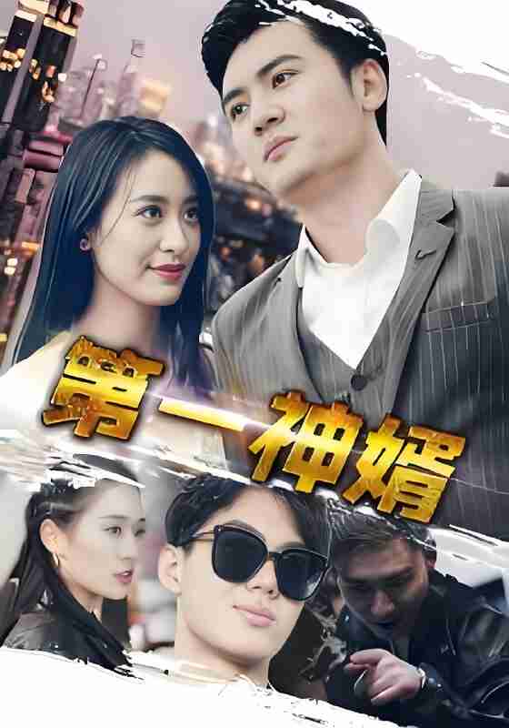 短剧《第一神婿》免费在线观看