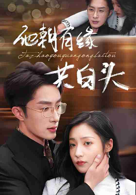 短剧《他朝有缘共白头》免费在线观看