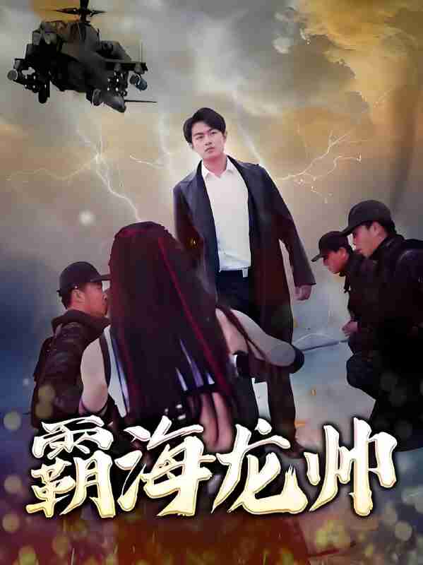 短剧《霸海龙帅》免费在线观看