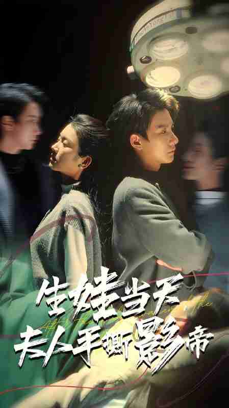 短剧《生娃当天夫人手撕影帝》免费在线观看