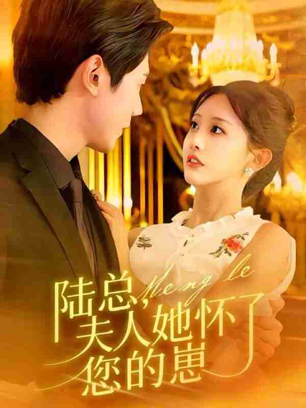 短剧《陆总夫人她怀了您的崽》免费在线观看