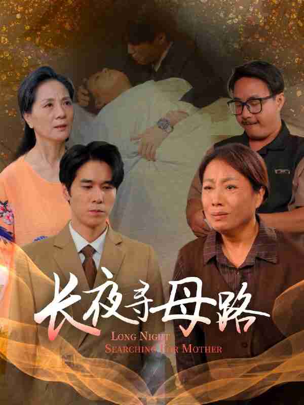 短剧《长夜寻母路》免费在线观看