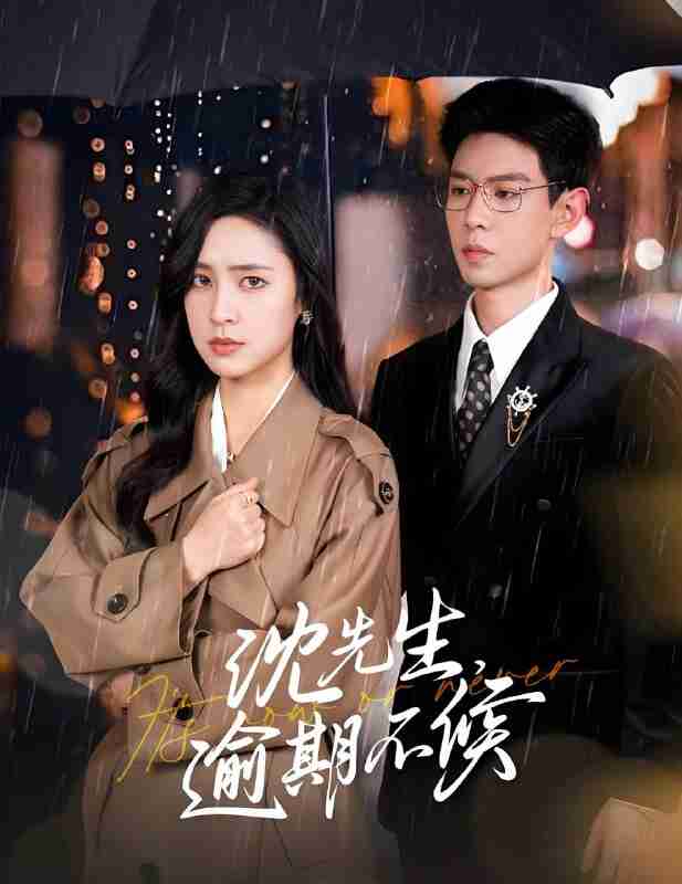 短剧《沈先生逾期不候》免费在线观看