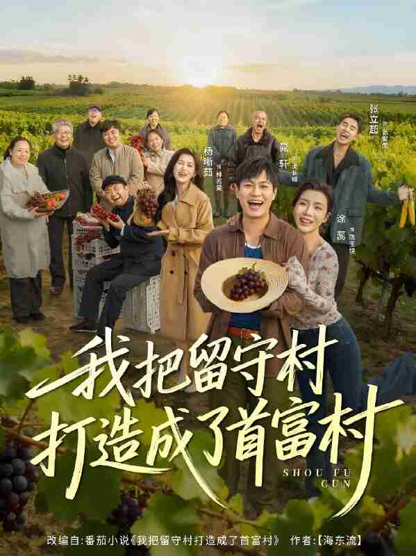 短剧《我把留守村打造成了首富村》免费在线观看