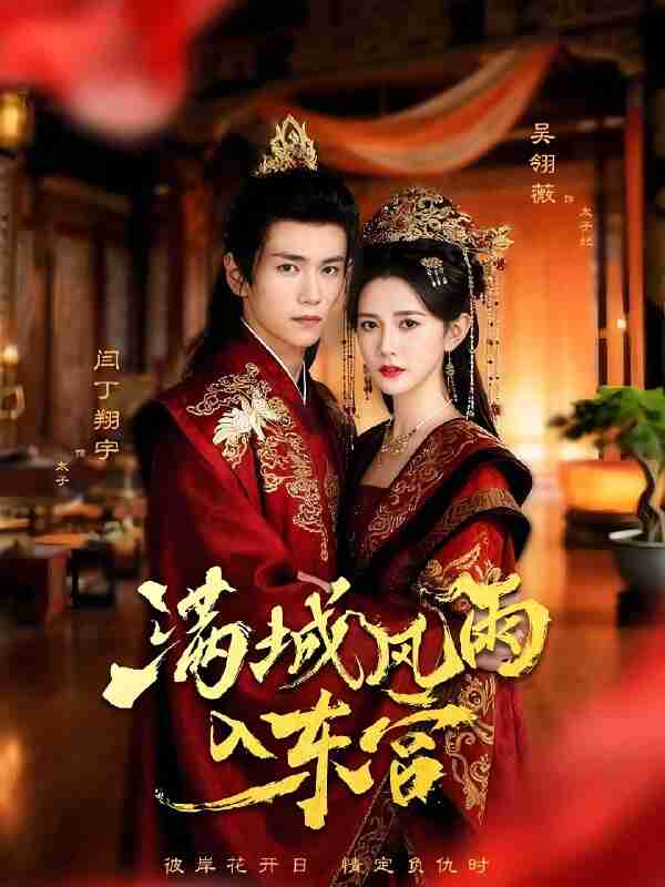 短剧《满城风雨入东宫》免费在线观看