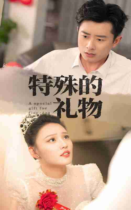 短剧《特殊的礼物》免费在线观看