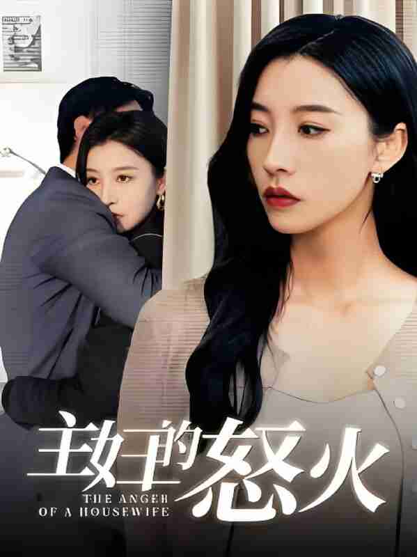 短剧《主妇的怒火》免费在线观看