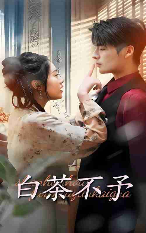 短剧《白茶不予》免费在线观看