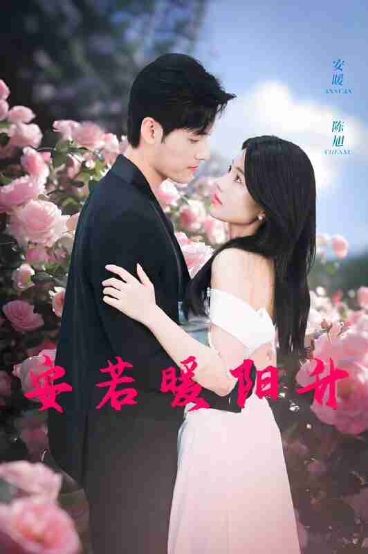 短剧《安若暖阳升》免费在线观看