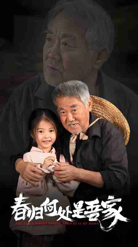 短剧《春归何处是吾家》免费在线观看