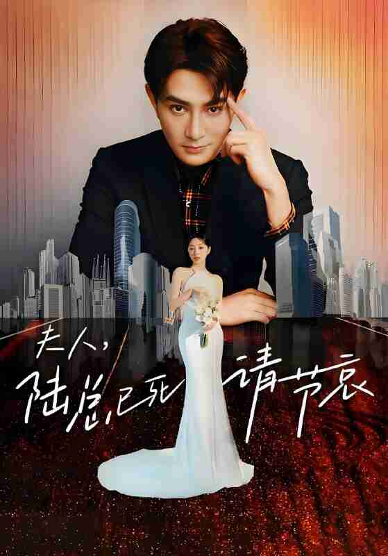 短剧《夫人陆总已死请节哀》免费在线观看