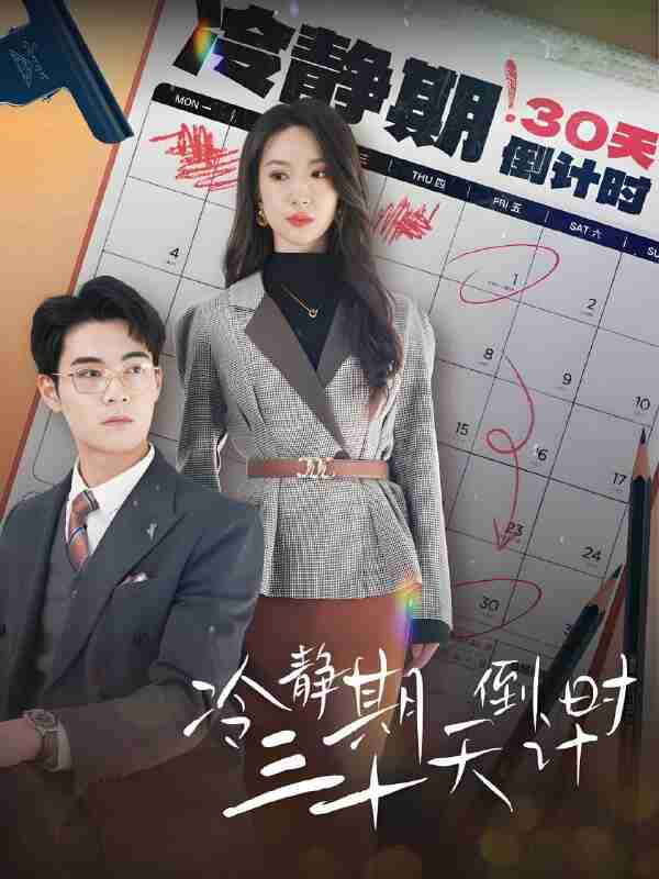短剧《冷静期三十天倒计时》免费在线观看