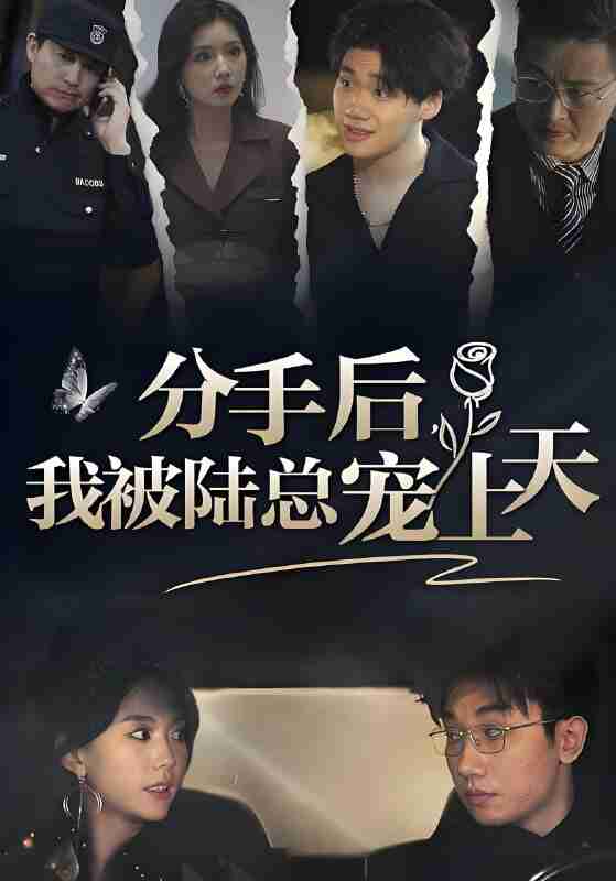 短剧《分手后我被陆总宠上天》免费在线观看