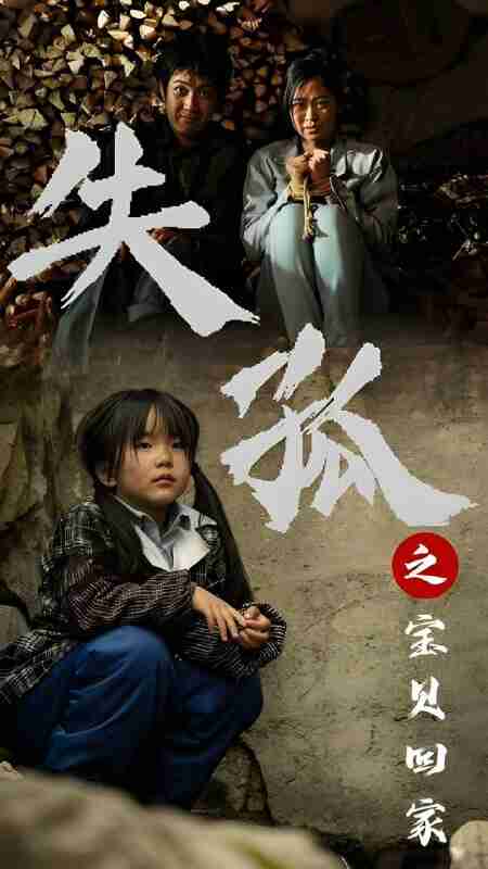 短剧《失孤之宝贝回家》免费在线观看