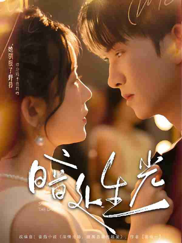 短剧《暗处生光》免费在线观看