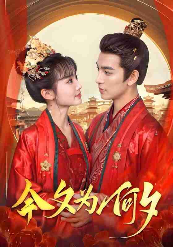 短剧《今夕为何夕》免费在线观看