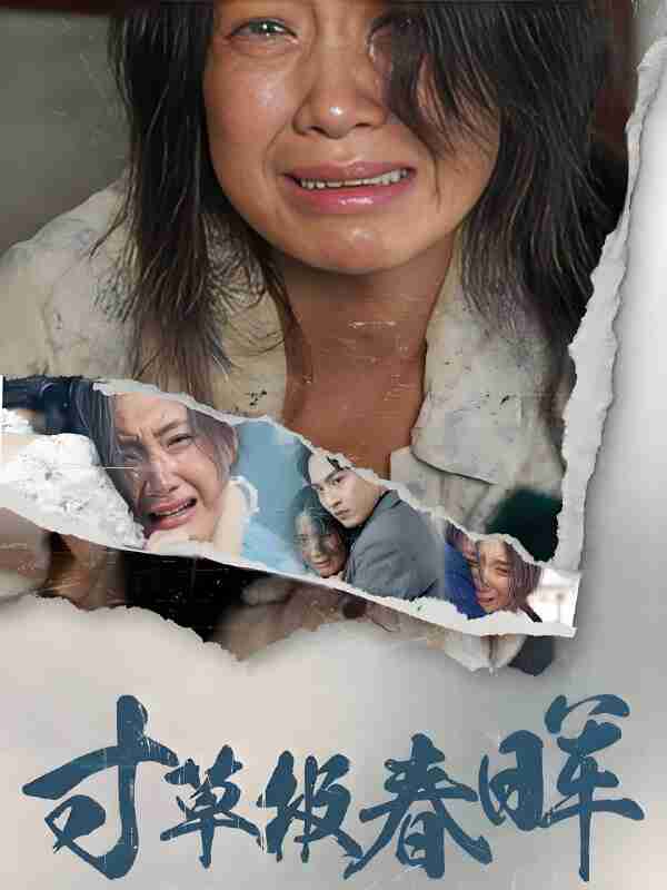 短剧《寸草报春晖》免费在线观看