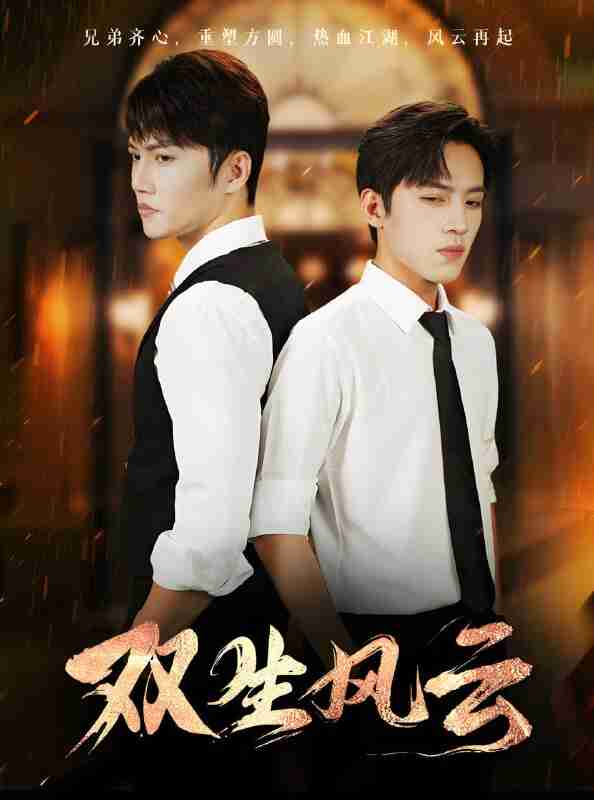 短剧《双生风云》免费在线观看