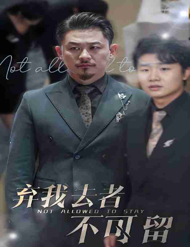 短剧《弃我去者不可留,生命它璀璨如歌》免费在线观看