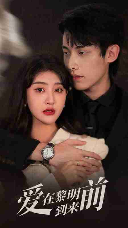 短剧《爱在黎明到来前》免费在线观看