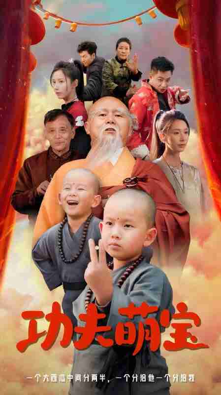 短剧《功夫萌宝》免费在线观看