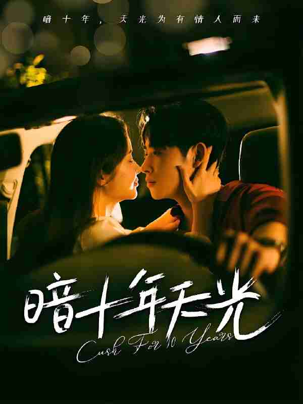 短剧《暗十年天光》免费在线观看