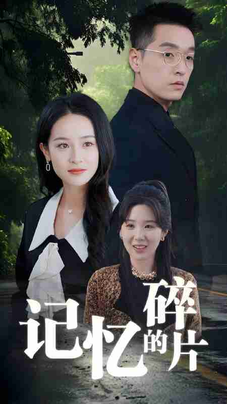 短剧《记忆的碎片》免费在线观看