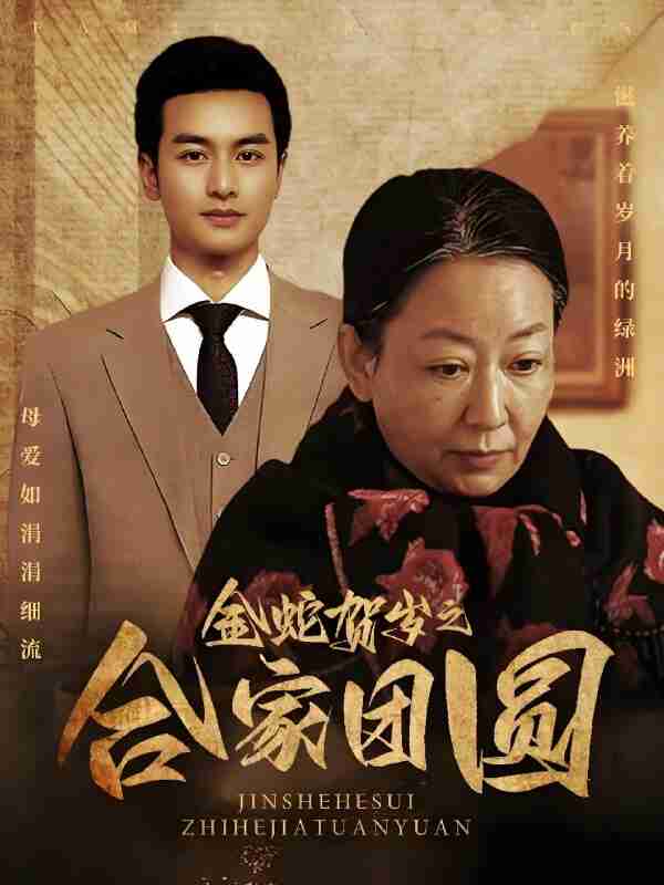 短剧《金蛇贺岁之合家团圆》免费在线观看