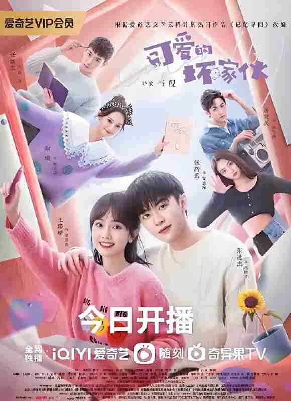 国产剧《可爱的坏家伙》免费在线观看