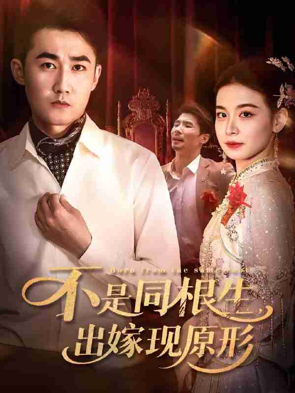 短剧《不是同根生出嫁现原形》免费在线观看