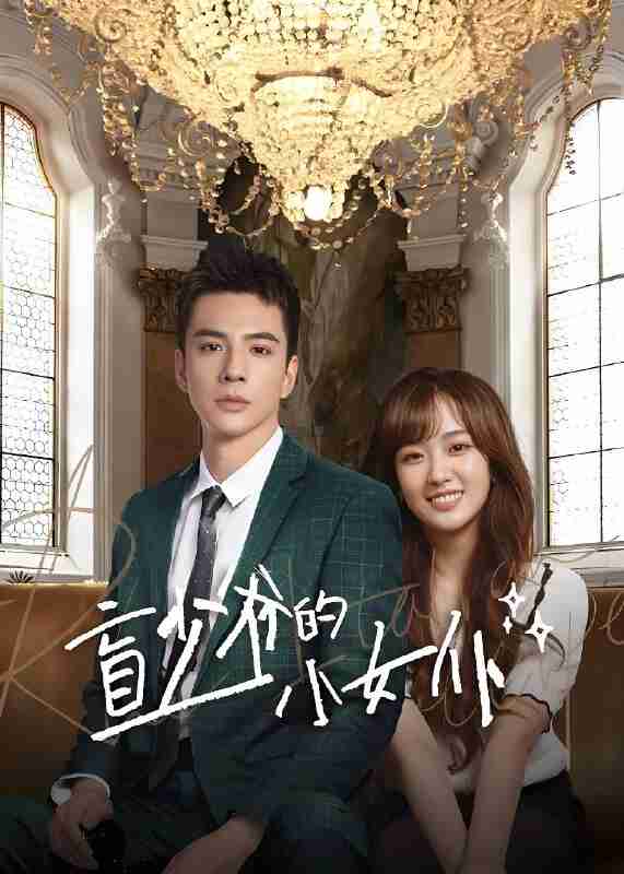 短剧《盲少爷的小女仆》免费在线观看