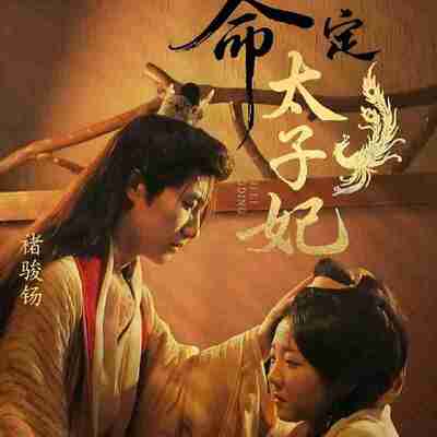 短剧《命定太子妃》免费在线观看