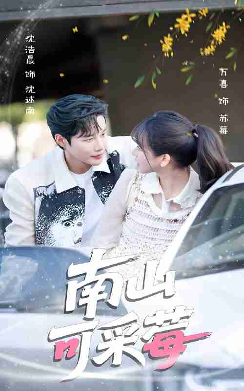 短剧《南山可采莓》免费在线观看