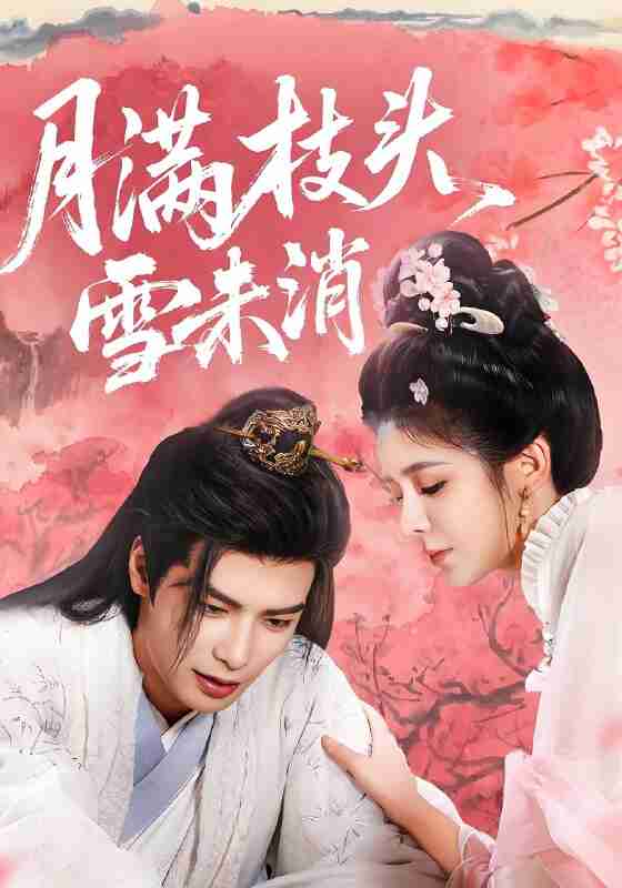 短剧《月满枝头雪未消》免费在线观看