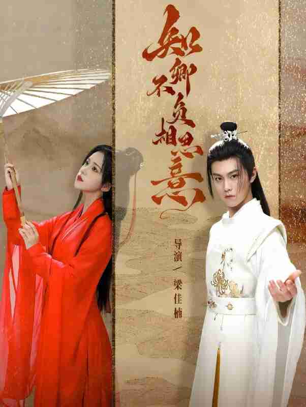 短剧《知卿不负相思意》免费在线观看