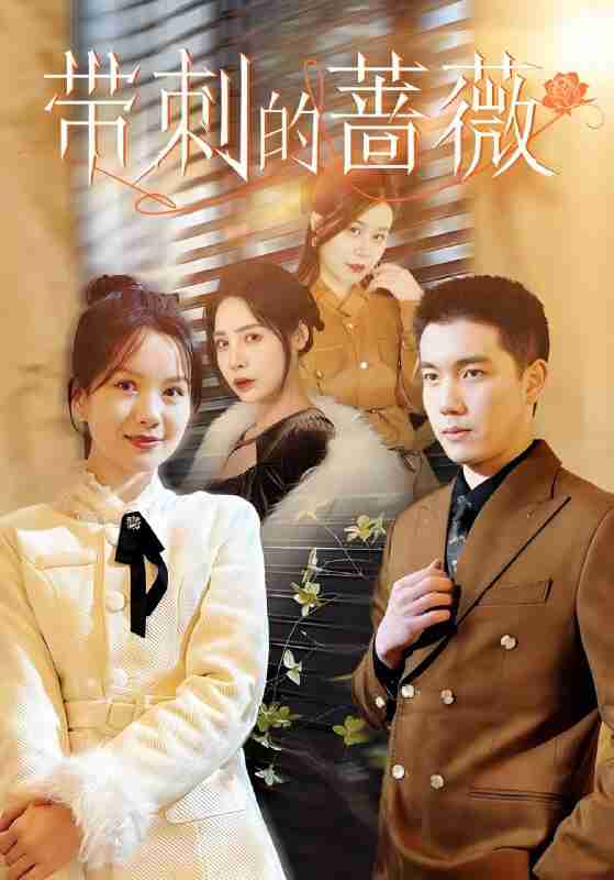 短剧《带刺的蔷薇》免费在线观看