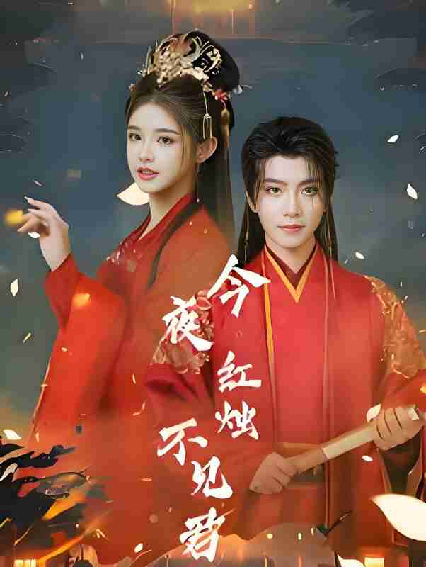 短剧《今夜红烛不见君》免费在线观看