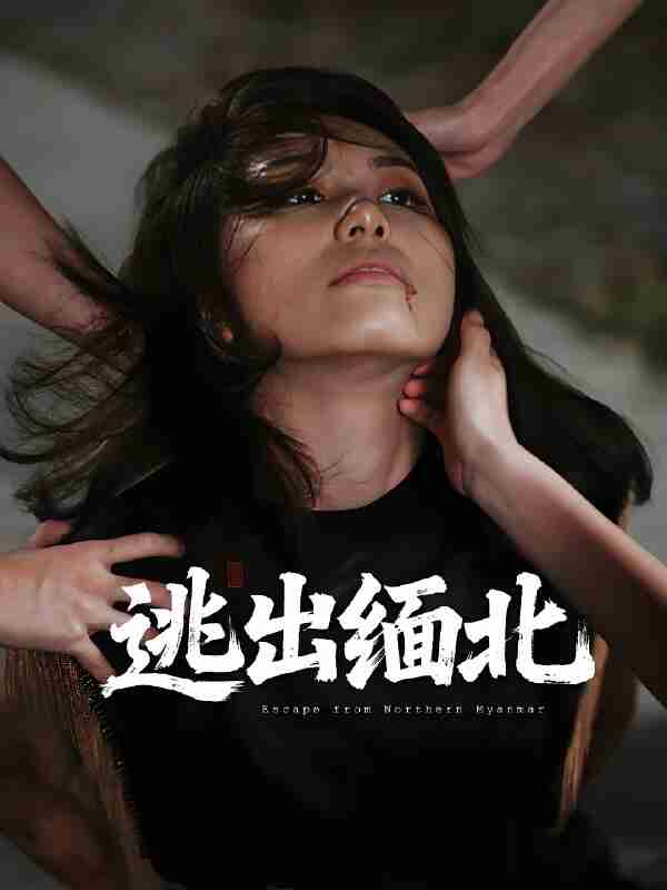 短剧《逃出缅北》免费在线观看